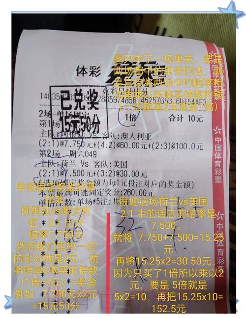 世界杯竞猜如何制定更稳健的投注策略？