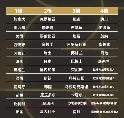 世界杯各队人员调整全面盘点